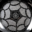 Vistharaku Silver Plate