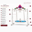 Silver Krishna Jhula – Bal Gopal Swing
